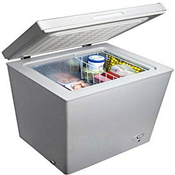 SKYRUN CHEST FREEZER BD-100HNW