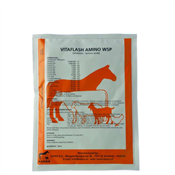 Vitaflash Amino wsp 100g