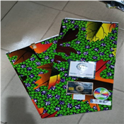 HOLLANDAISE Ankara (6yards)