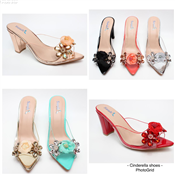 Ladies Designers shoe