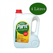 PURITY ANTISEPTIC 4LITRES