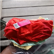 LADIES UNDERWEAR PANT