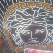 versace 4 by 6 center rug