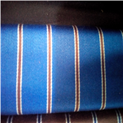 Quality Senator Material