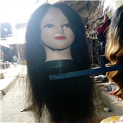 Human Hair Wig